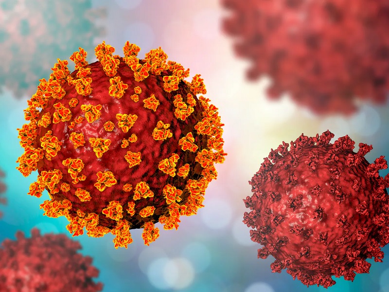 Jenis Baru Virus Corona