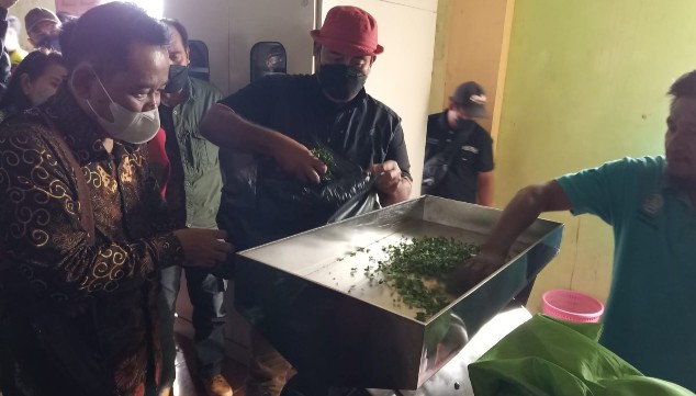 Bupati Kukar Edi Damansyah saat meninjau usaha tanaman kelor di Sungai Payang