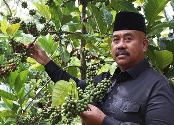 Bupati Kukar, Edi Damansyah di Perkebunan Kopi Luwak Desa Perangat Baru. (Istimewa)