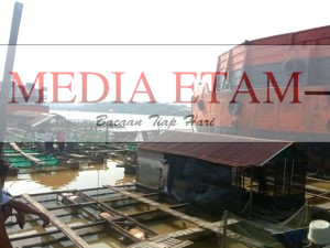 Ponton Tabrak Keramba Ikan Milik Warga di Loa Kulu. (Indah, Mediaetam.com)