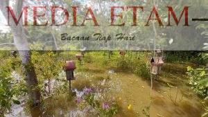 Peternakan Lebah Kelulut di Desa Muhuran