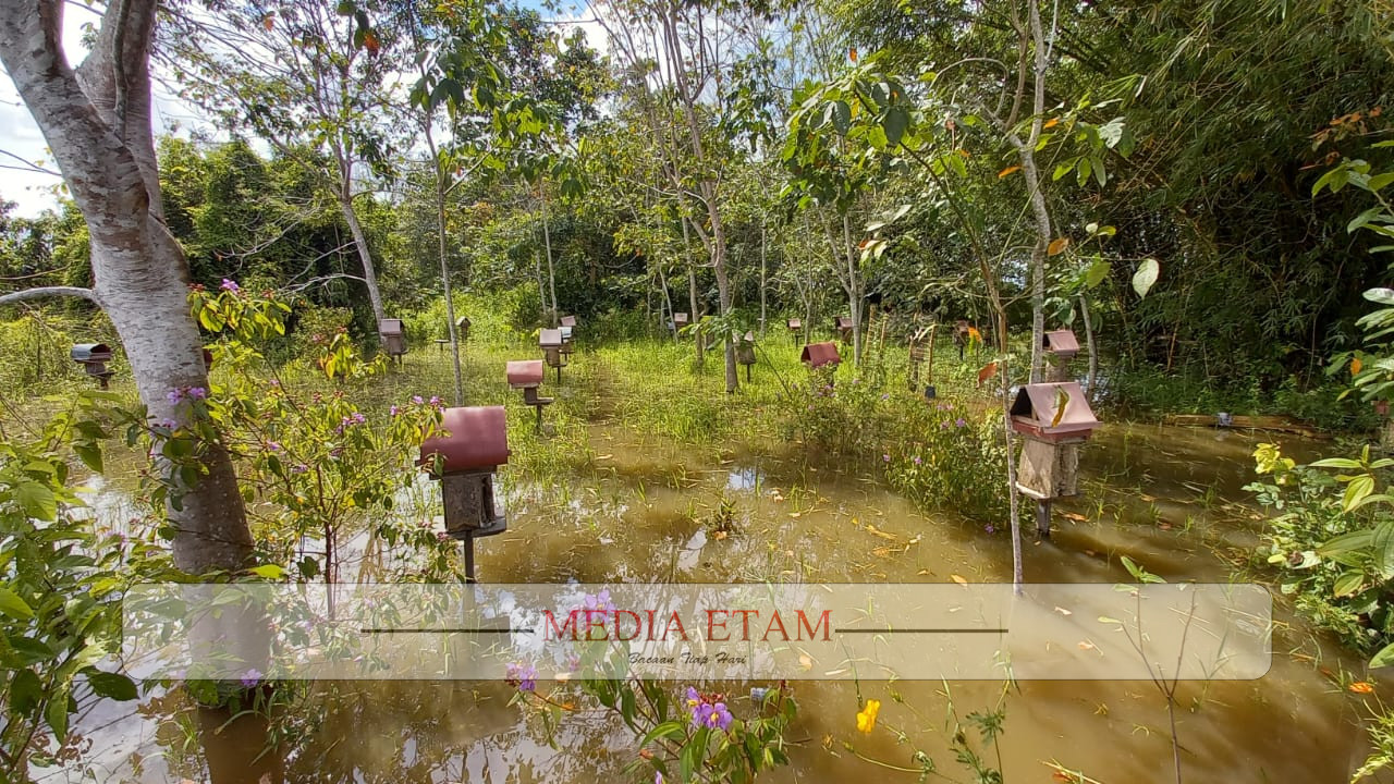 Peternakan Lebah Kelulut di Desa Muhuran