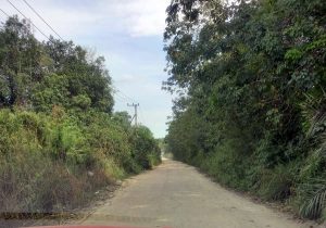 Anggota Komisi II DPRD Kutai Kartanegara (Kukar), Doni Ikhwani meminta kepada pemerintah daerah agar segera memperbaiki ruas jalan Rimba Ayu menuju SP1- Kota Bangun.