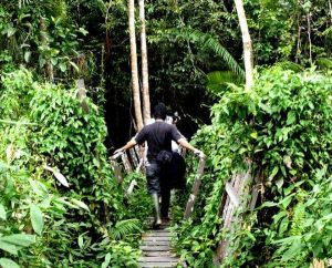 wisata alam