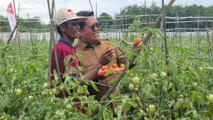 Wabup Rendi bersama petani Kukar (dok: Istimewa)