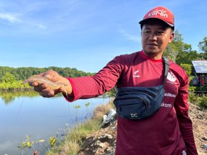udang dari tambak di Muara Badak (Mediaetam)