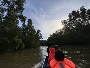 Wisatawan menyusuri perairan Delta Mahakam (Mediaetam)