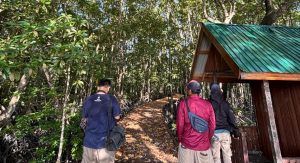 jembatan kayu yang akan diproyeksikan untuk wisata (Mediaetam.com)