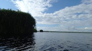 wilayah danau gambut di Muara Siran (Mediaetam.com)