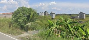 Sarang Walet di Desa Sebelimbingan
