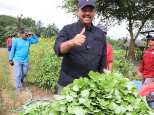 Bupati pamerkan sayur hasil panen petani di Desa Sumber Sari
