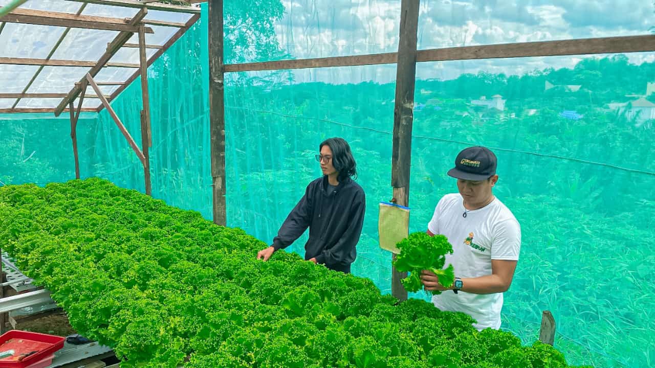 Syahrian dan Kebun Hidroponik yang dia kelola (foto: Nur Faradillah Indah)