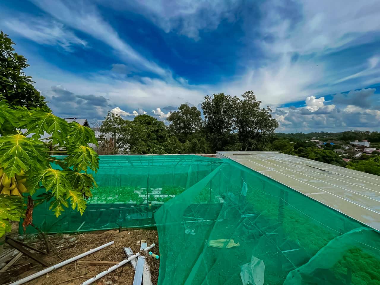 Kebun Hidroponik yang dikelola Syahrian (Nur Faradillah Indah)