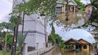 Kawasan Kelurahan Panji Yang Terdampak Banjir (DILLA)