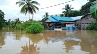Desa Sarinadi Kecamatan Kota Bangun Darat (Doc.Laporan Desa)
