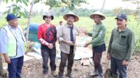 Bupati Kukar Edi Damansyah Panen Padi Perdana di Desa Mulawarman, Dorong Ketahanan Pangan Lokal Bupati Kukar Edi Damansyah Panen Padi Perdana di Desa Mulawarman, Dorong Ketahanan Pangan Lokal