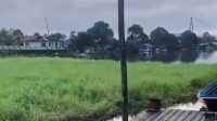 Gulma atau rumput nafung memenuhi perairan Desa Jantur Baru, Kecamatan Muara Muntai (Doc.Instagram Info Kukar) Gulma atau rumput nafung memenuhi perairan Desa Jantur Baru, Kecamatan Muara Muntai (Doc.Instagram Info Kukar)