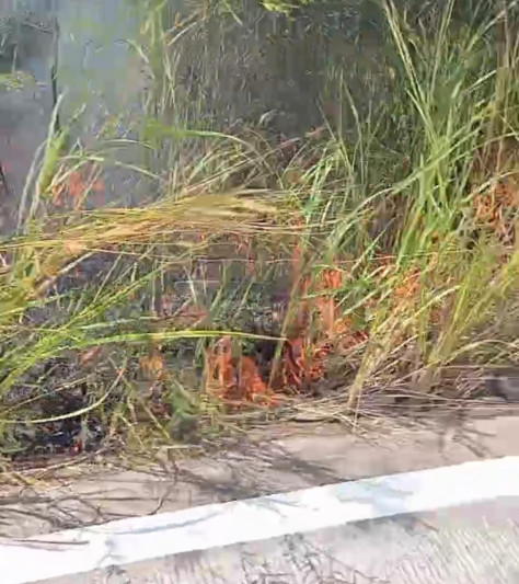 Kebakaran lahan di pinggir jalan poros dusun kuyung, desa sebemban, kecamatan muara wis (tangkapan layar)