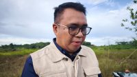 aulia